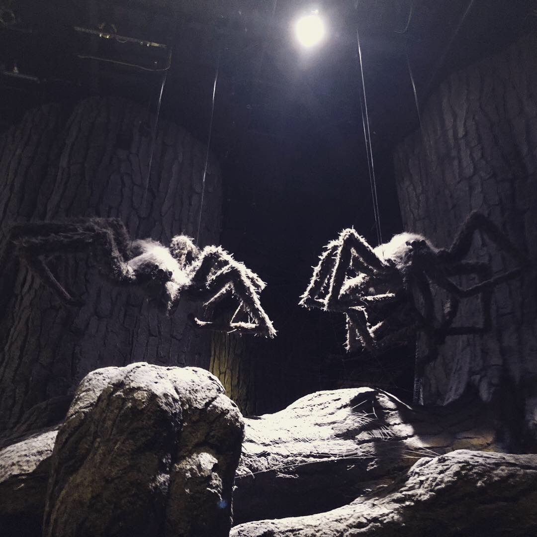 Aragog and other Spiders