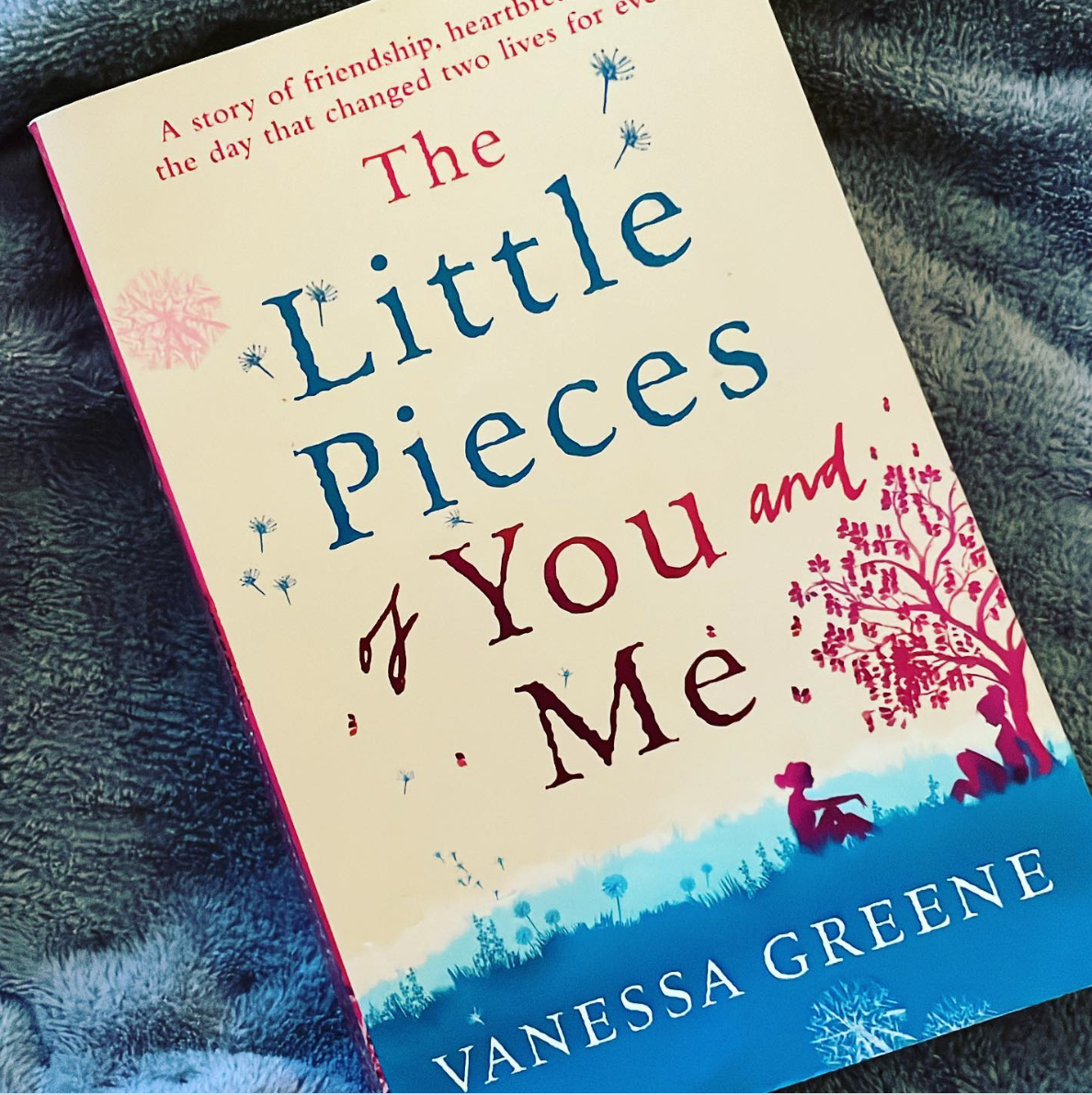 Novel about chronic Illness: The Little Pieces of You and Me by Vanessa Greene
