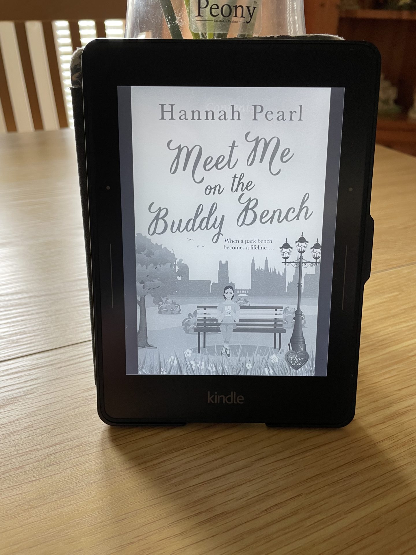 Novel about chronic illness: Meet Me on the Buddy Bench by Hannah Pearl 