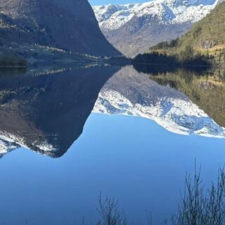 A little bit of the incredible views of #Norway but also some from the ports in Denmark - Copenhagen and Aarhaus! 

#PAndOBritannia #CruiseLife #Travel